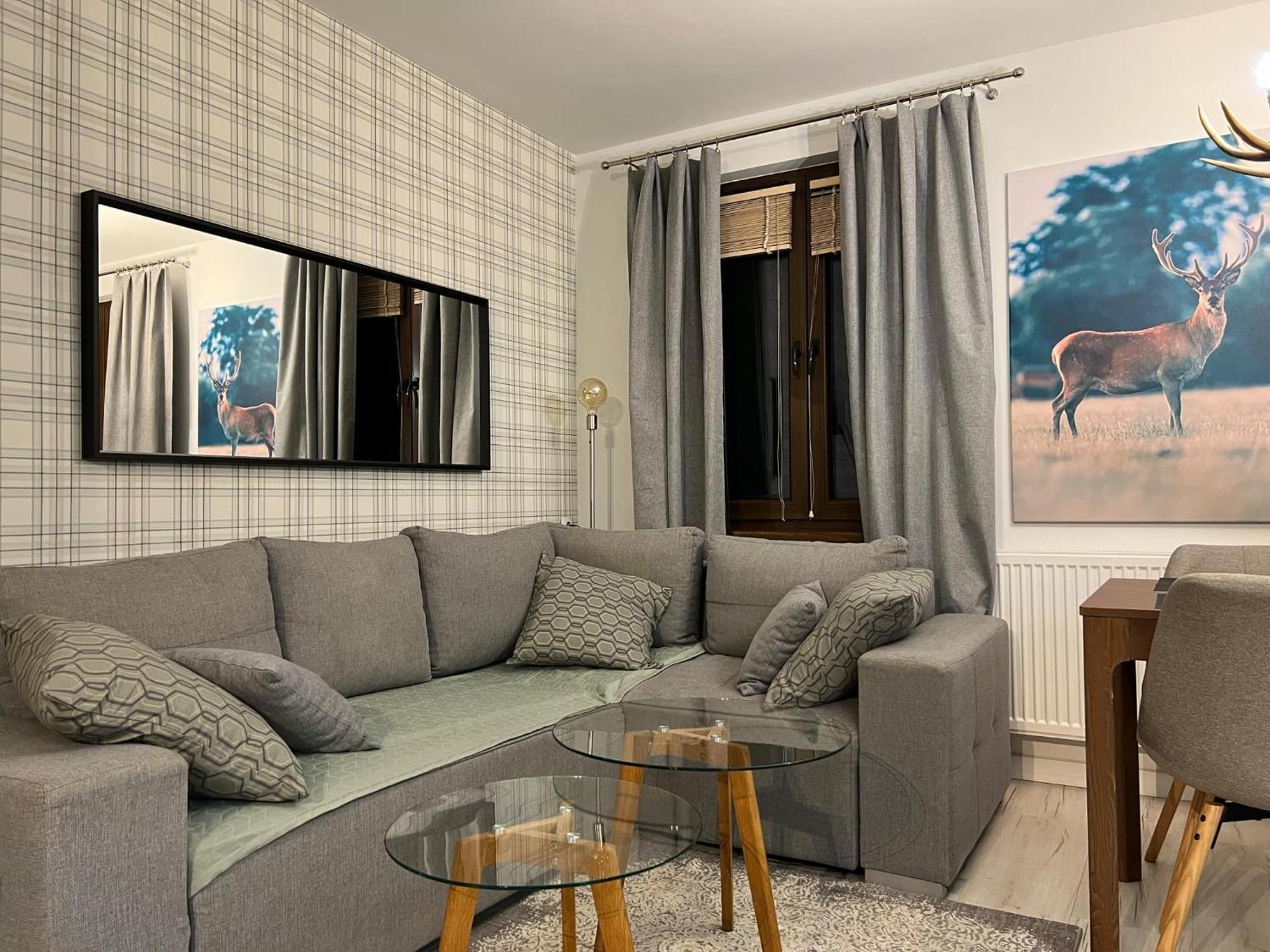 Apartament Dziki Rogacz 슈차브니차 외부 사진